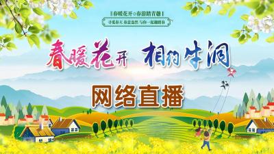 “春暖花开 相约牛洞”巴东牛洞坪第四届油菜花节