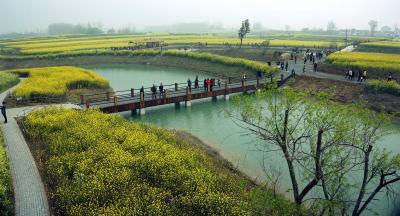 县卫生健康局人大工作评议整改承诺