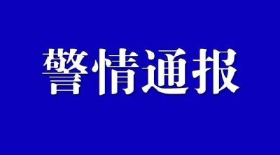 关于汉江大堤走失女子的警情通报