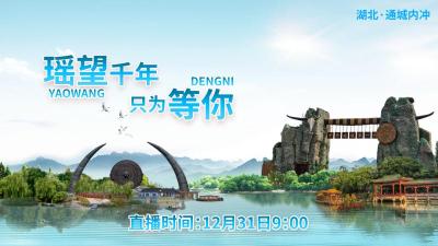 直播 | 【直播】"瑶望千年 只为等你"中华古瑶第一村开园