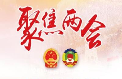 【聚焦两会】县人大代表、政协委员热议政府工作报告