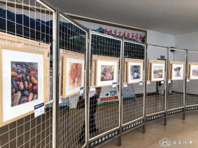 吴涛作品公益拍卖  支援抗击疫情