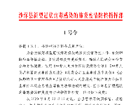 沙洋县新型冠状病毒感染的肺炎疫情防控指挥部  1号令