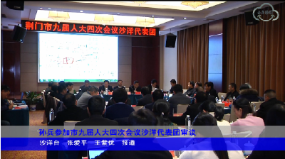 孙兵参加市九届人大四次会议沙洋代表团审议