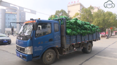 马和平捐赠爱心蔬菜助力抗击疫情