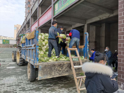 沙洋镇：人大代表来牵线  爱心蔬菜送小区