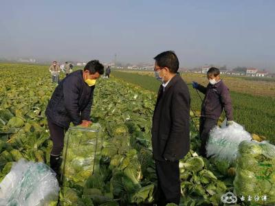​沙洋县农业农村局：加强农产品调度 稳住市民“菜篮子”