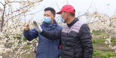 【抗疫情 保春耕】沙洋：疫情防控不松劲抢抓农时忙春耕