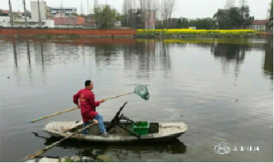 荆门沙洋县开展“河湖保洁行动”助推全面复工复产