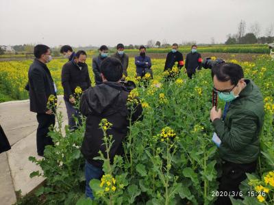 沙洋县农业农村局组织召开全县春季农业生产  暨油菜菌核病统防统治工作会议