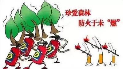 警惕！这些森林防火常识你必须了解！