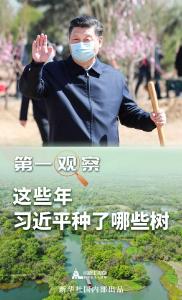 这些年，习近平种了哪些树