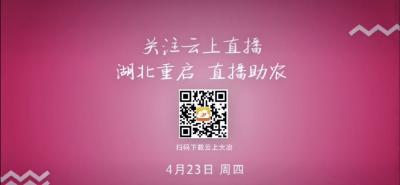 直播:湖北重启 直播助农 茗山辣木线上直销 