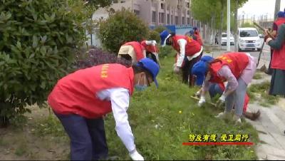 团县委组织开展“防疫有我、爱卫同行”志愿服务活动 