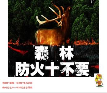 威警示丨森林防火“十不要”