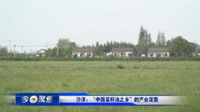 【省市媒体看沙洋】沙洋：“中国菜籽油之乡”的产业突围