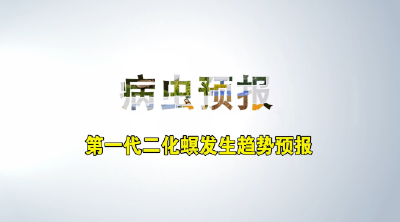 【植物病虫情报】第一代二化螟发生趋势预报