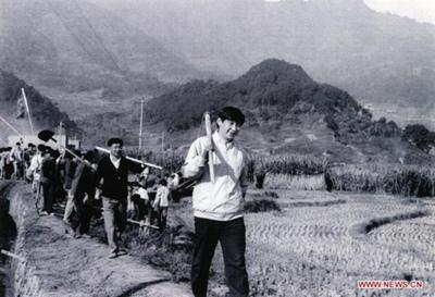 一组镜头，感受习近平的劳动本色