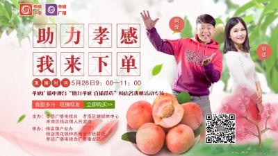 直播：公益系列直播|助力孝感  我来下单   杨店名优桃活动专场