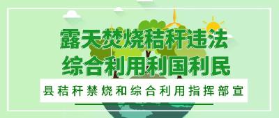 【省市媒体看沙洋】沙洋新增支农支小贷款7.94亿元