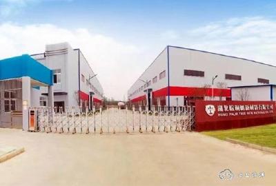 【图说项目建设】回乡创业报桑梓，湖北棕桐树石塑地板远销海外