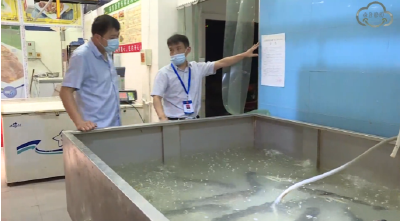 我县开展非法经营汉江鱼类违法行为整治执法行动 