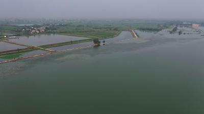 沙洋县毛李镇：1500米大堤散浸  250名干部群众紧急除险