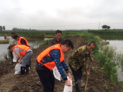 沙洋县法院干警全力参与防汛救灾