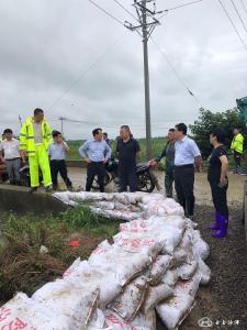 【全力以赴防汛抗灾 众志成城共护家园】汛情告急，沙洋县这样“防”得很有力