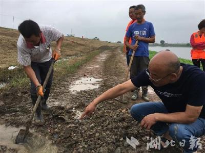 【省市媒体看沙洋】水势转落但依然超保证水位 长湖防汛力量不减巡查不松