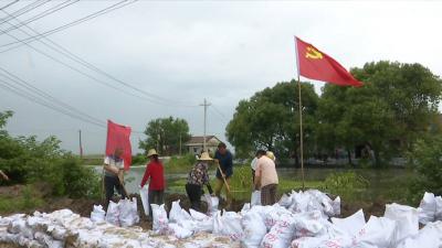 【全力以赴防汛抗灾 众志成城共护家园】沙洋县后港镇港口村：全员齐上阵  守护幸福家园