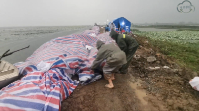 毛李镇：英雄村的坚守