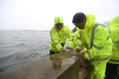 【省市媒体看沙洋】长湖水位持续上涨 沙洋公安紧急出动开展抢险