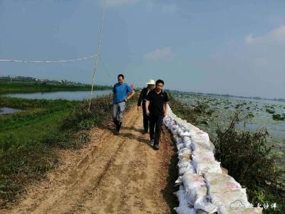 党旗高高飘扬在防汛一线——沙洋县水利和湖泊局在行动