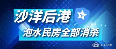 【省市媒体看沙洋】沙洋后港泡水民房全部消杀