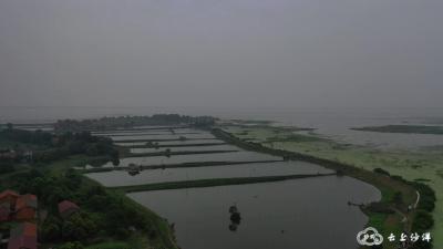 ​沙洋县全力备战新雨情
