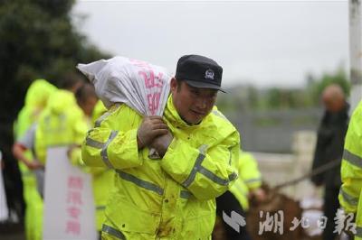 【省市媒体看沙洋】长湖抢险！沙洋后港水陆派出所14人抢险队，堵住两处潜在险情