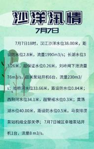 7月7日沙洋汛情