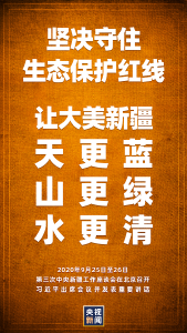 谈新时代治疆工作 习近平说这件事要理直气壮做起来