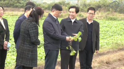 全市秋冬农业开发现场推进会暨市委农村工作领导小组会议召开