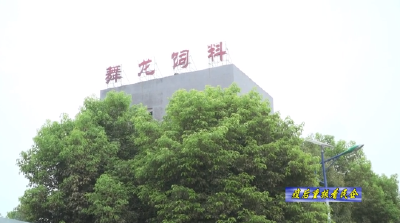 荆门市五龙饲料有限公司：调整生产结构 产量减 效益增