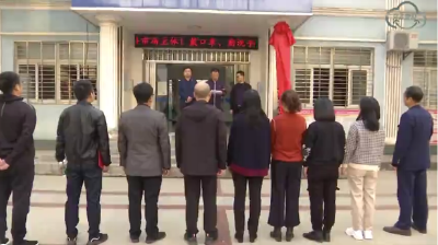 县市场监管局镇（区）市场监管所正式挂牌