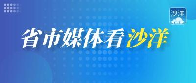 【省市媒体看沙洋】沙洋县启动高标准农田建设项目
