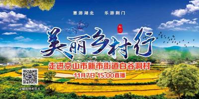直播：美丽乡村行|走进京山市新市街道白谷洞村