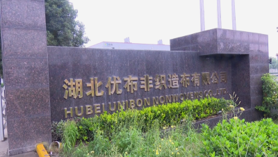 企业“逆风出海” 税务“保驾护航”