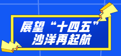 展望“十四五”，沙洋再起航