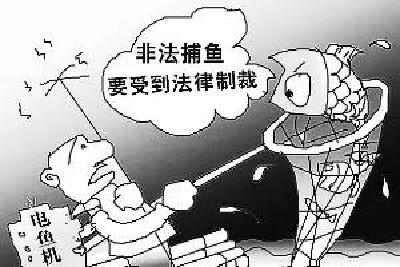 因在长湖干这事…荆门3人获刑！