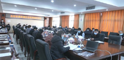  V视丨县城乡规划委员会2021年第一次专题委员会会议召开