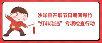 沙洋县开展节日期间爆竹“打非治违”专项检查行动