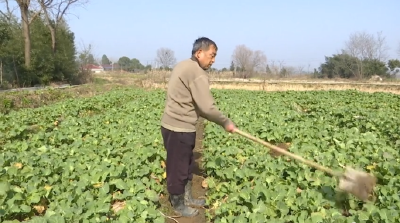 V视丨【新春走基层】李升雄：精准帮扶 为我开启了幸福生活